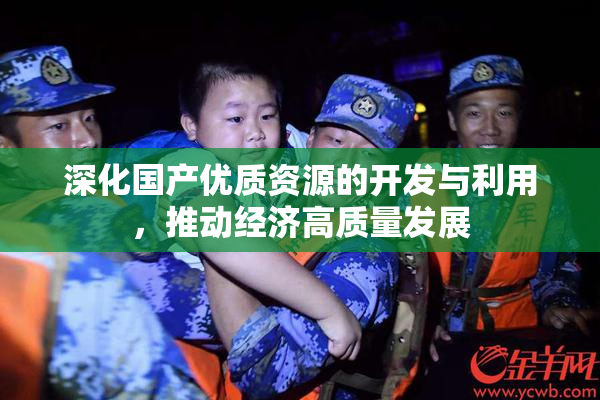 深化国产优质资源的开发与利用，推动经济高质量发展