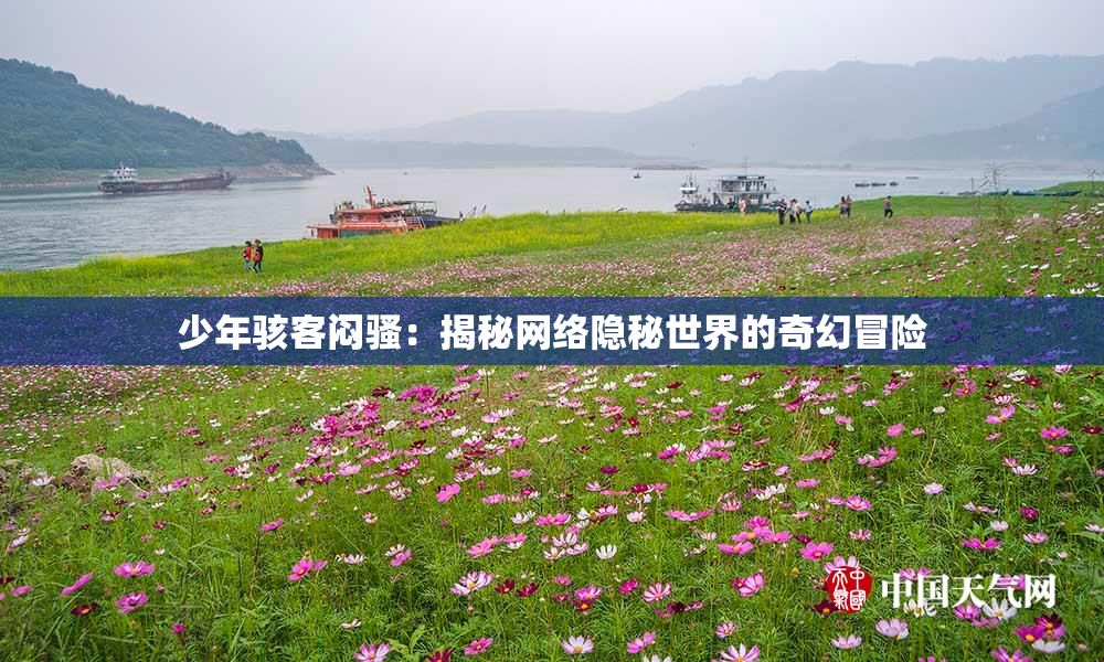 少年骇客闷骚：揭秘网络隐秘世界的奇幻冒险