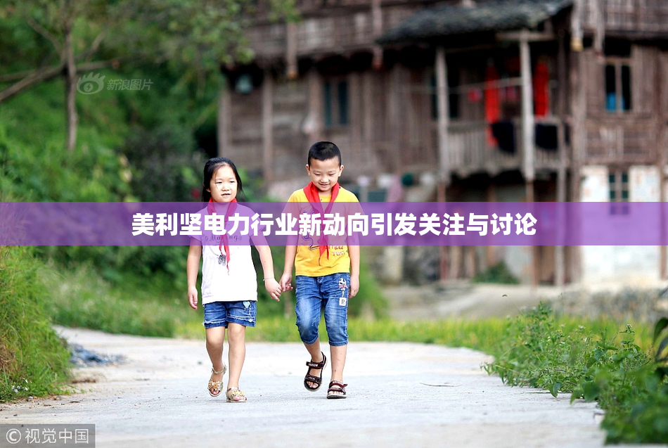 美利坚电力行业新动向引发关注与讨论
