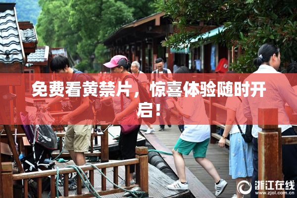免费看黄禁片，惊喜体验随时开启！