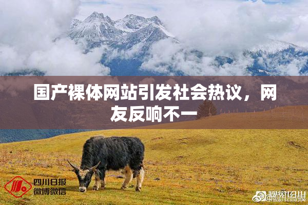 国产裸体网站引发社会热议，网友反响不一