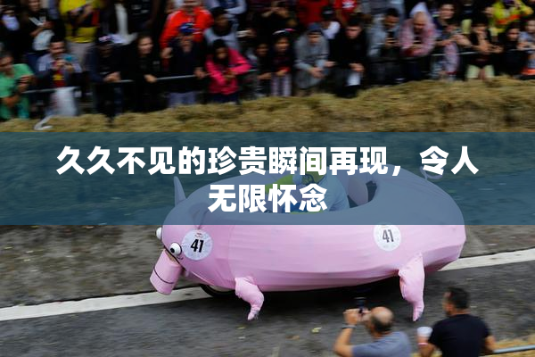 久久不见的珍贵瞬间再现，令人无限怀念