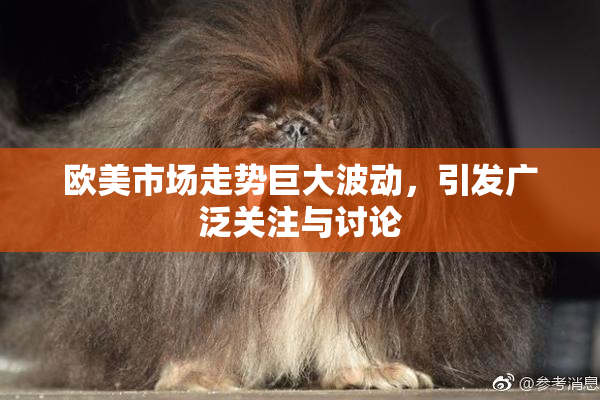 欧美市场走势巨大波动，引发广泛关注与讨论