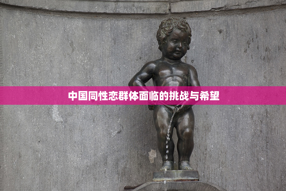中国同性恋群体面临的挑战与希望
