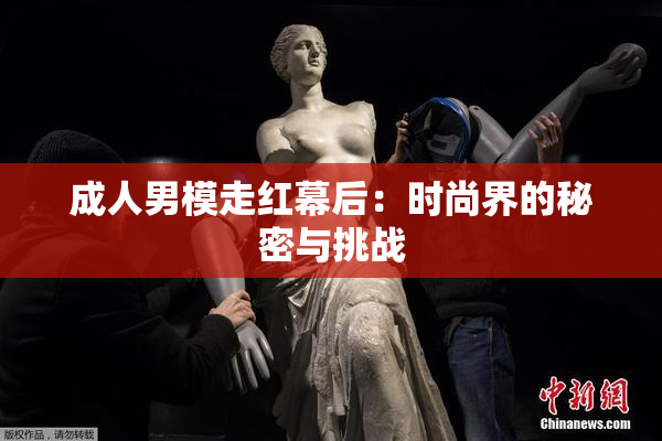 成人男模走红幕后：时尚界的秘密与挑战