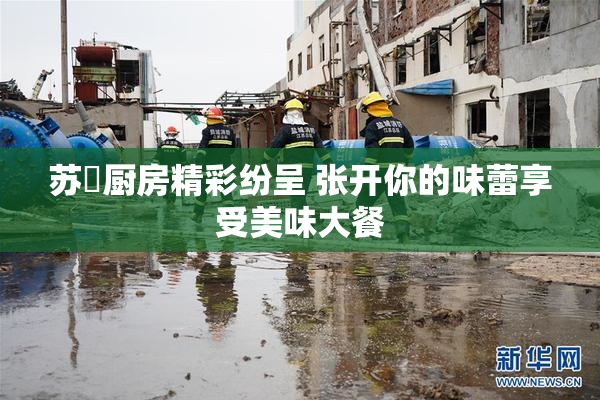 苏玥厨房精彩纷呈 张开你的味蕾享受美味大餐