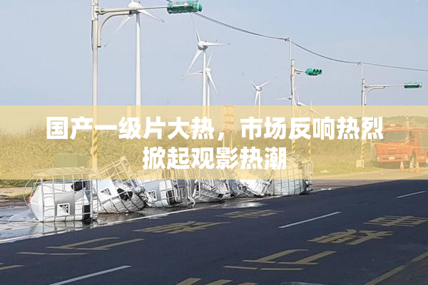 国产一级片大热，市场反响热烈掀起观影热潮