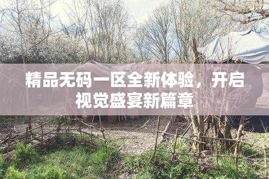 精品无码一区全新体验，开启视觉盛宴新篇章