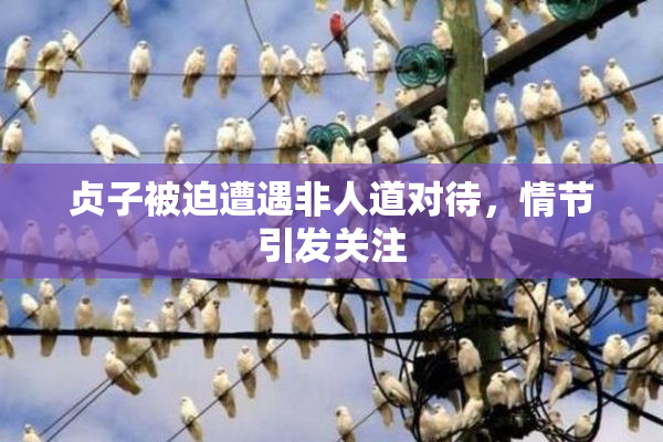 贞子被迫遭遇非人道对待，情节引发关注