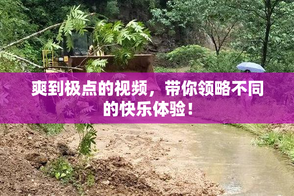 爽到极点的视频，带你领略不同的快乐体验！