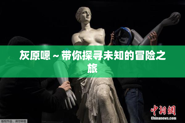 灰原嗯～带你探寻未知的冒险之旅
