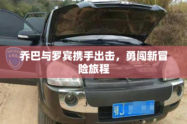 乔巴与罗宾携手出击，勇闯新冒险旅程