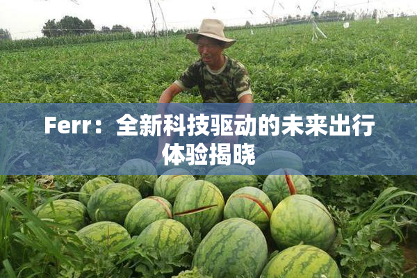 Ferr：全新科技驱动的未来出行体验揭晓