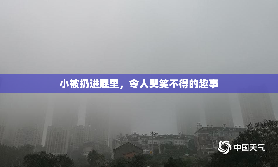 小被扔进屁里，令人哭笑不得的趣事