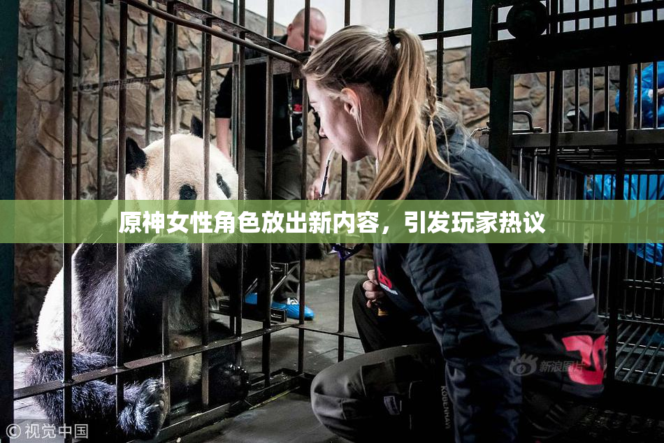 原神女性角色放出新内容，引发玩家热议
