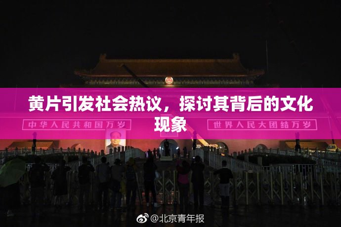 黄片引发社会热议，探讨其背后的文化现象