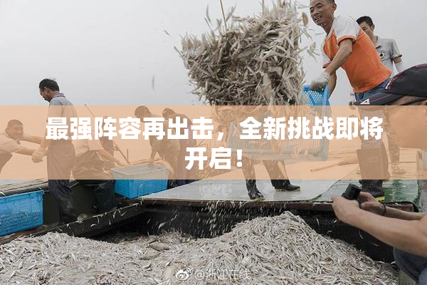 最强阵容再出击，全新挑战即将开启！