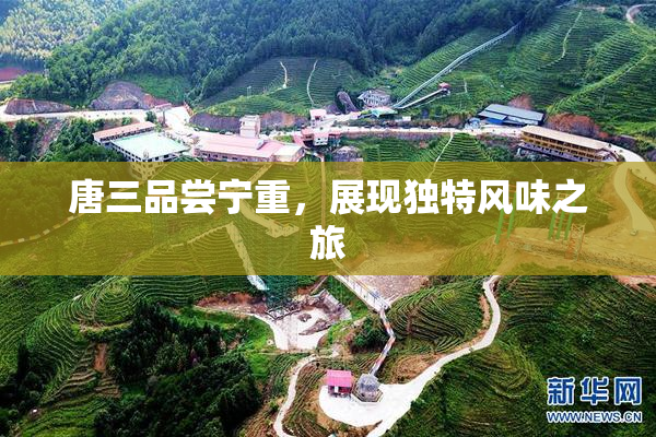 唐三品尝宁重，展现独特风味之旅