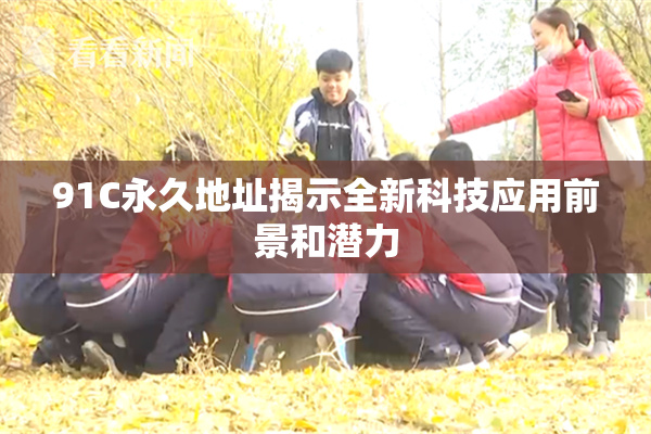 91C永久地址揭示全新科技应用前景和潜力