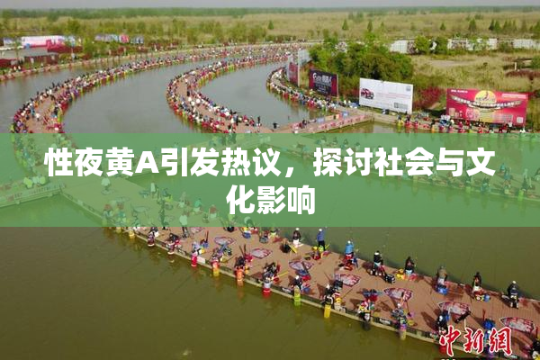 性夜黄A引发热议，探讨社会与文化影响