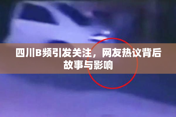 四川B频引发关注，网友热议背后故事与影响
