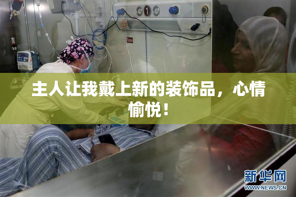 主人让我戴上新的装饰品，心情愉悦！