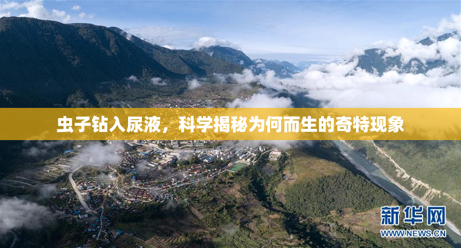 虫子钻入尿液，科学揭秘为何而生的奇特现象