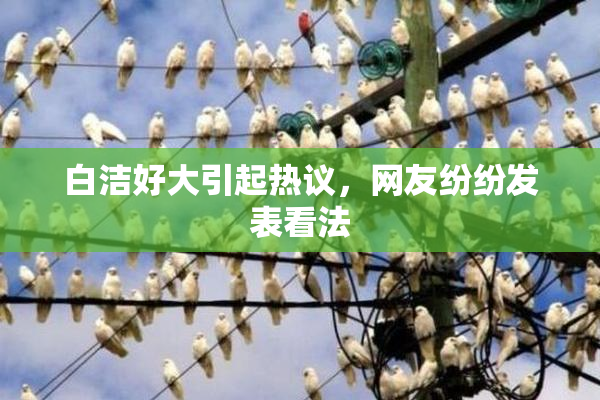白洁好大引起热议，网友纷纷发表看法