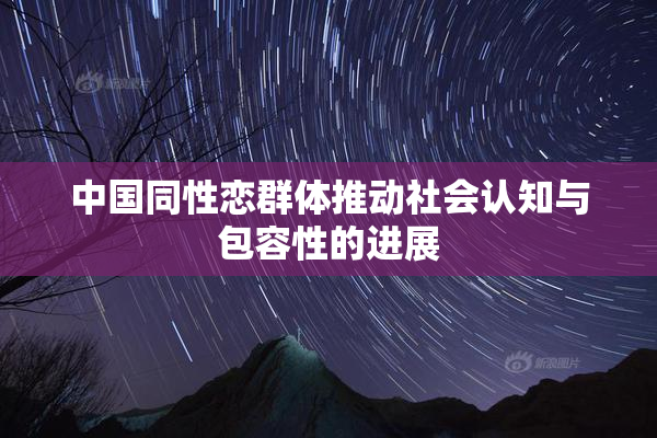 中国同性恋群体推动社会认知与包容性的进展