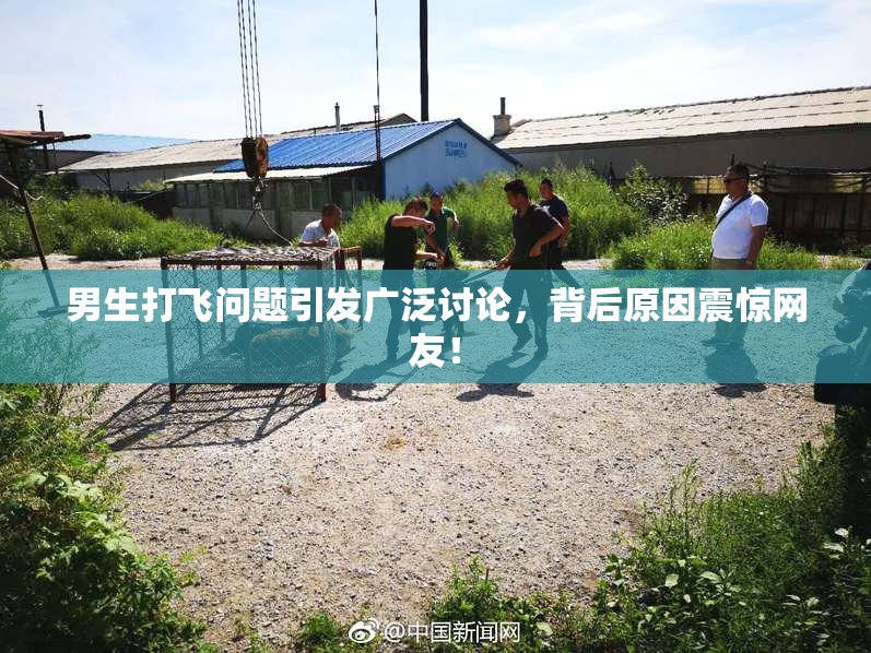 男生打飞问题引发广泛讨论，背后原因震惊网友！