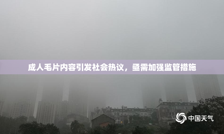 成人毛片内容引发社会热议，亟需加强监管措施