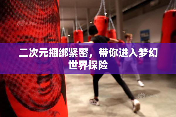 二次元捆绑紧密，带你进入梦幻世界探险