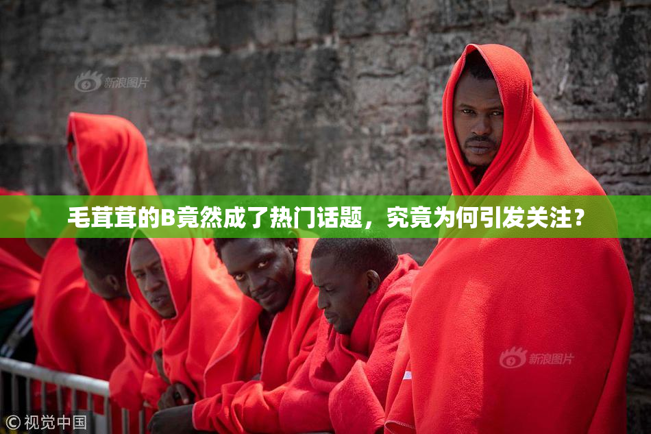 毛茸茸的B竟然成了热门话题，究竟为何引发关注？