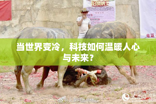 当世界变冷，科技如何温暖人心与未来？