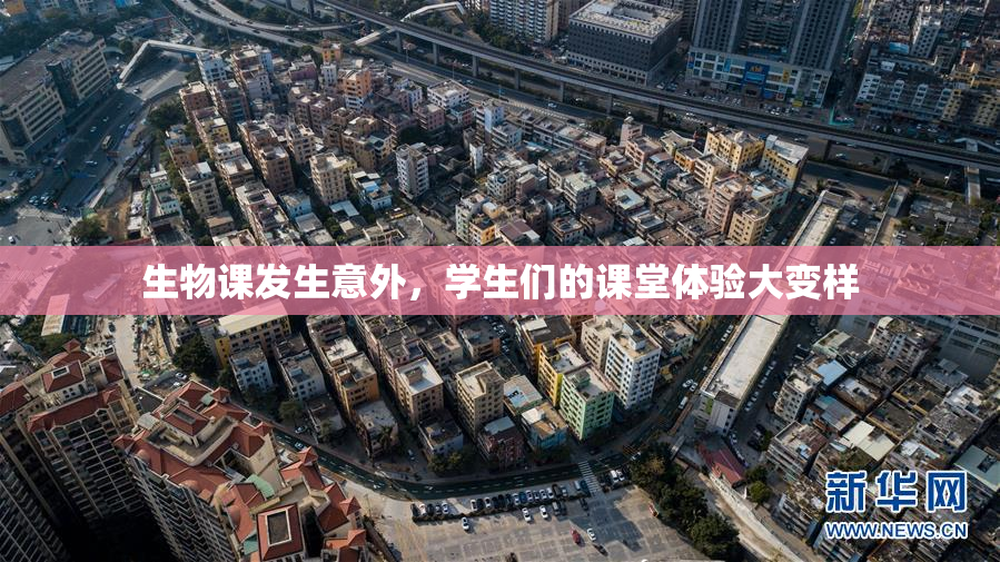 生物课发生意外，学生们的课堂体验大变样