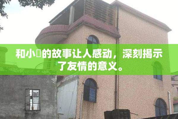 和小娻的故事让人感动，深刻揭示了友情的意义。