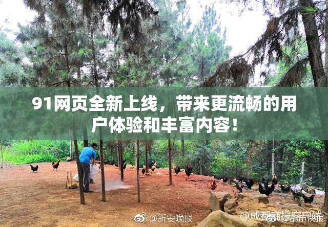 91网页全新上线，带来更流畅的用户体验和丰富内容！