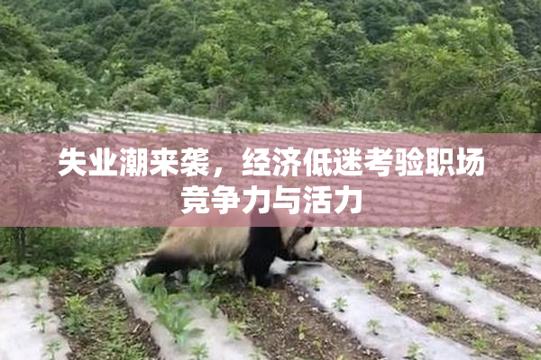 失业潮来袭，经济低迷考验职场竞争力与活力