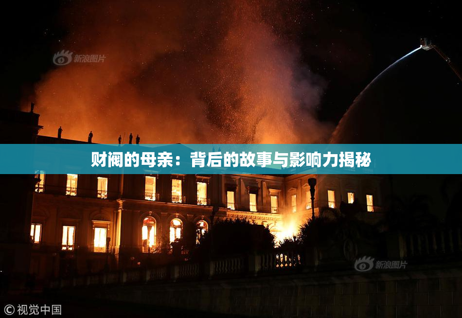 财阀的母亲：背后的故事与影响力揭秘