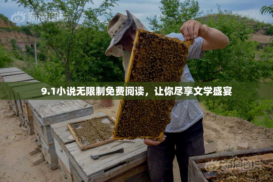 9.1小说无限制免费阅读，让你尽享文学盛宴