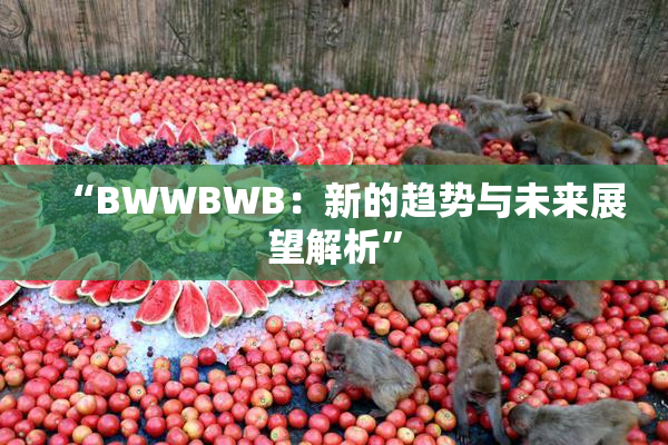 “BWWBWB：新的趋势与未来展望解析”