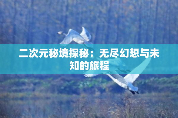 二次元秘境探秘：无尽幻想与未知的旅程
