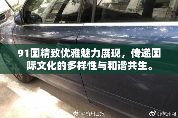 91国精致优雅魅力展现，传递国际文化的多样性与和谐共生。