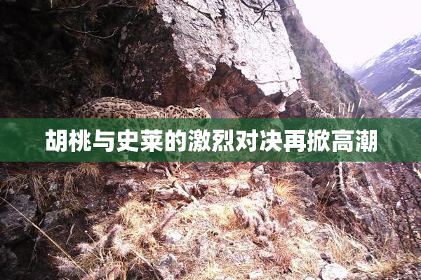 胡桃与史莱的激烈对决再掀高潮