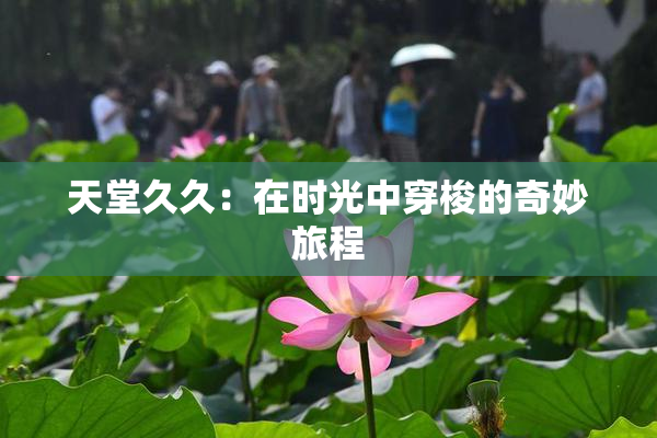 天堂久久：在时光中穿梭的奇妙旅程