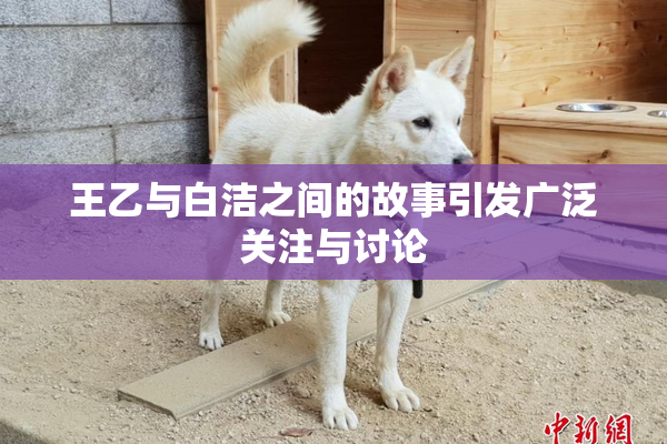 王乙与白洁之间的故事引发广泛关注与讨论