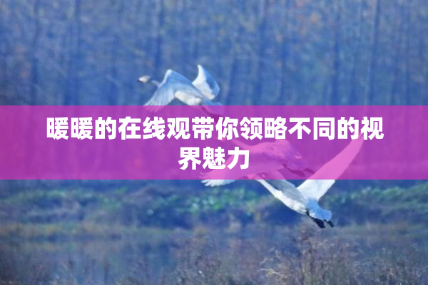 暖暖的在线观带你领略不同的视界魅力