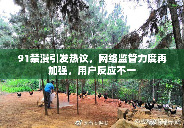 91禁漫引发热议，网络监管力度再加强，用户反应不一