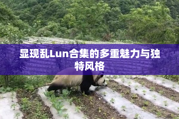 显现乱Lun合集的多重魅力与独特风格