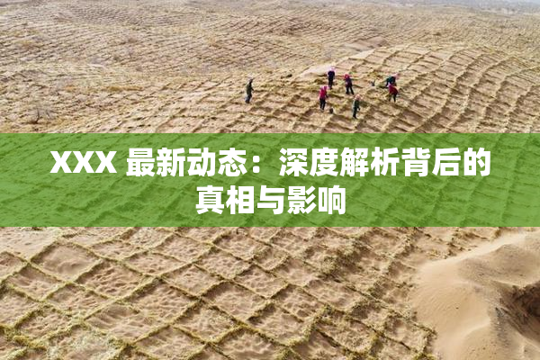 XXX 最新动态：深度解析背后的真相与影响